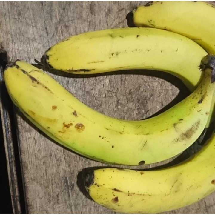 

Pisang Ambon Kuning Matang - Sedang