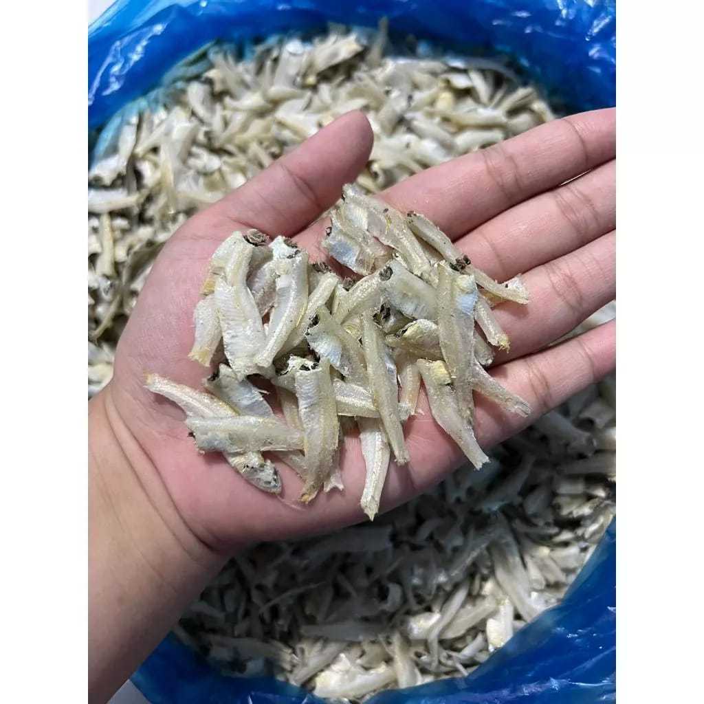 

1 KG TERI PEKTO MEDAN ASLI KUALITAS SUPER | 1000GR TERI GEPENG