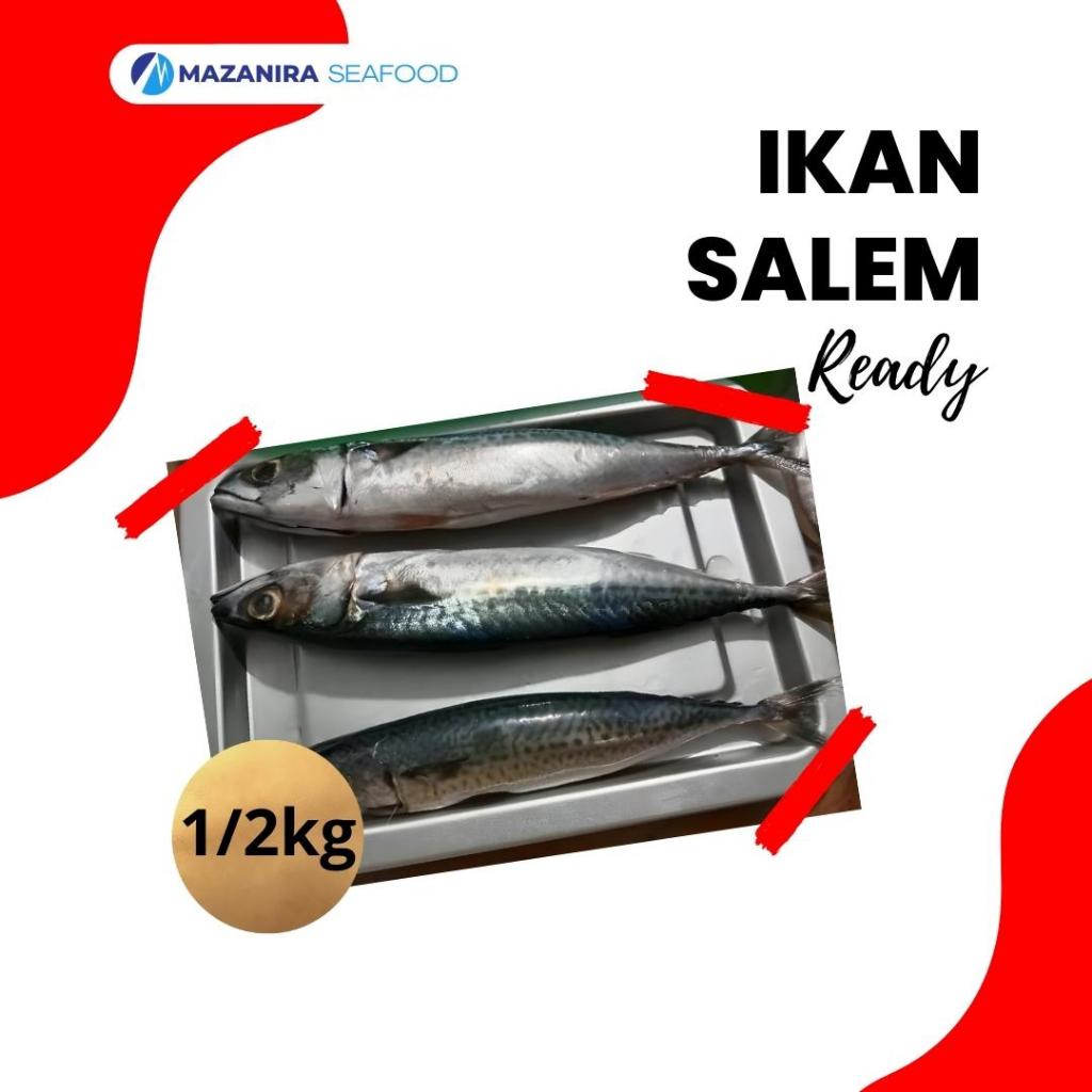 

Ikan Salem 500 Gr