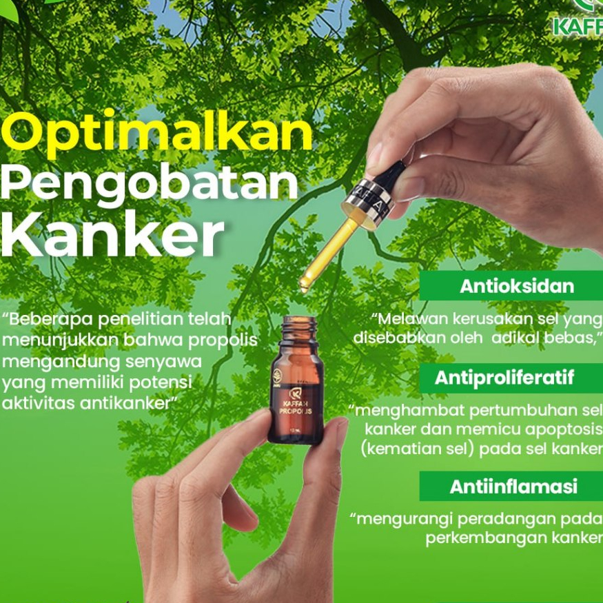 Herbal Pencegahan Kanker Kaffah Propolis