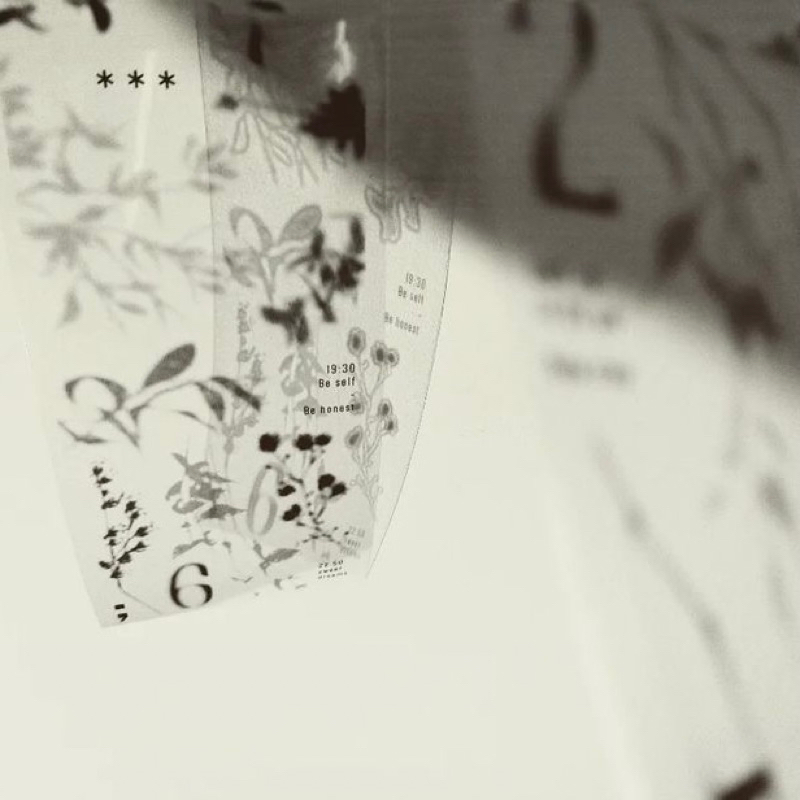 

[Sample in loop] Siyun Tree Shadow PET Tape
