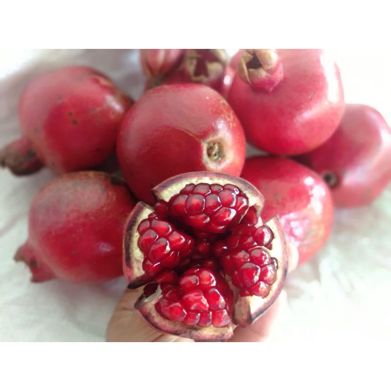 

Buah delima Merah India per kilo