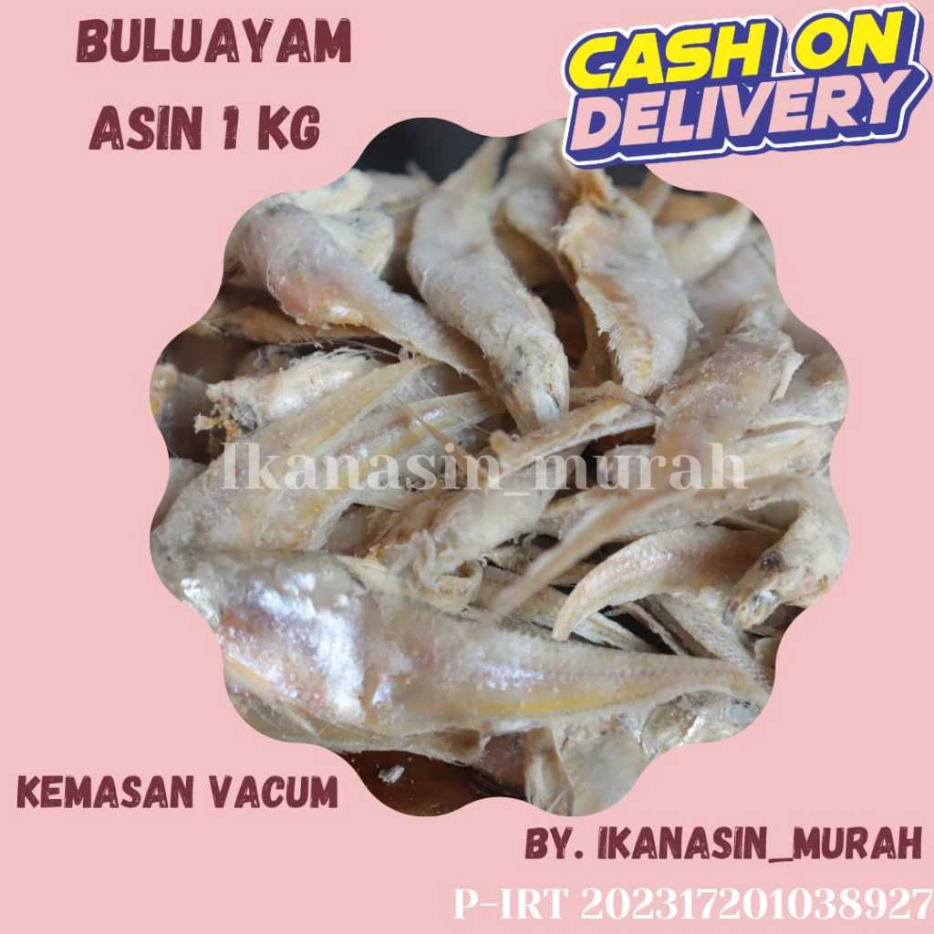 

IKAN BULUAYAM TAWAR / BULUAYAM ASIN 1KG / IKAN ASIN MURAH BISA COD