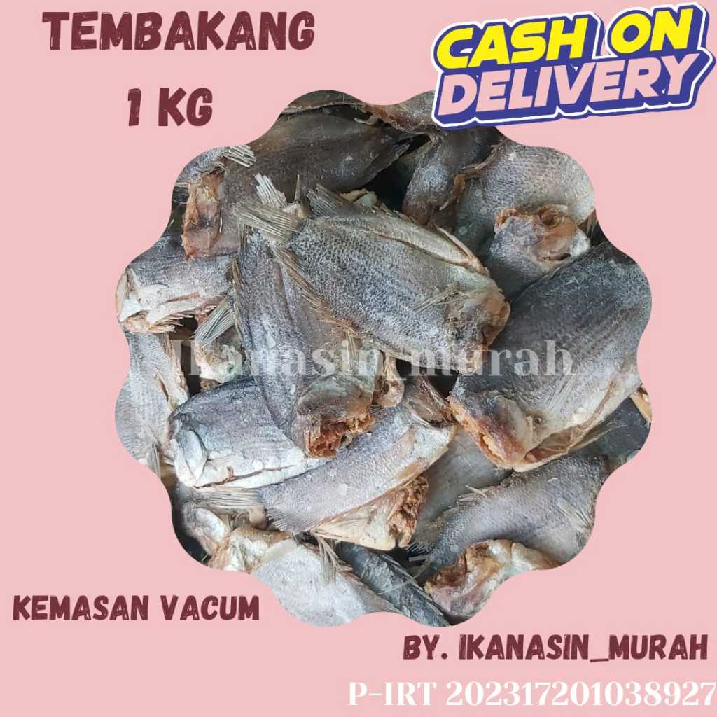 

IKAN ASIN TEMBAKANG 1KG / IKAN ASIN MURAH BISA COD