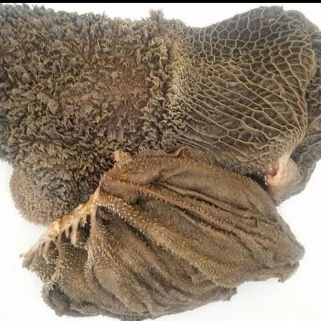 

Babat Sapi 1Kg