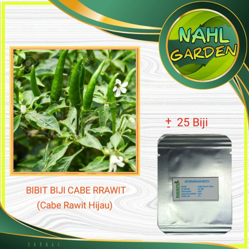 BENIH BIJI CABE RAWIT (Cabe Rawit Hijau)