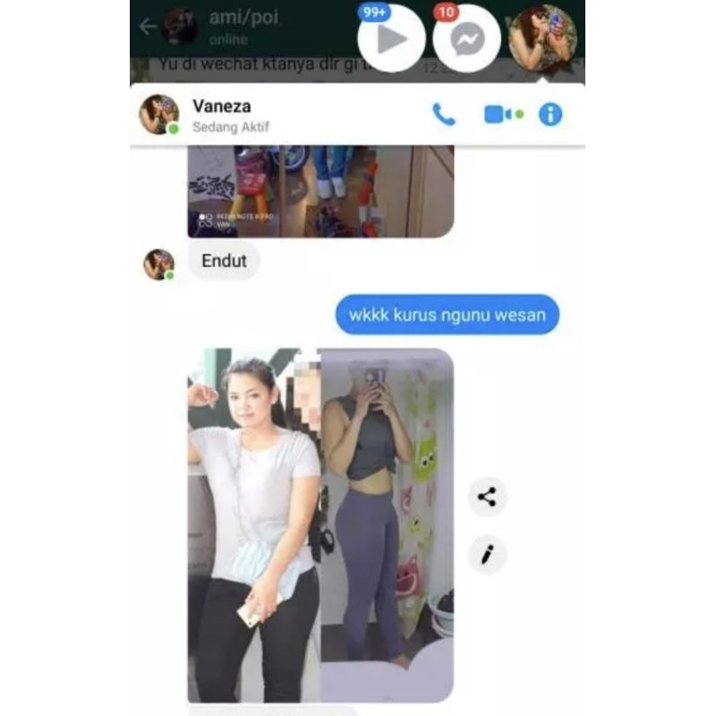 OBAT DIET DOBLE STRONG