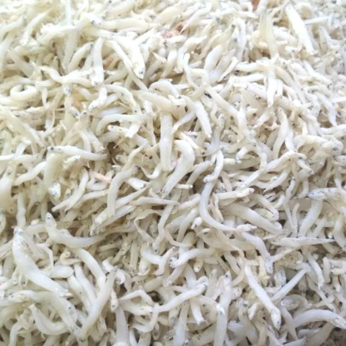 

↑❂❉ Grosir 100 gram Ikan Asin Teri Medan Teri Nasi Segar Murah Best Produk