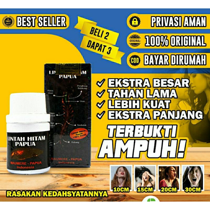 lintah hitam papua original
