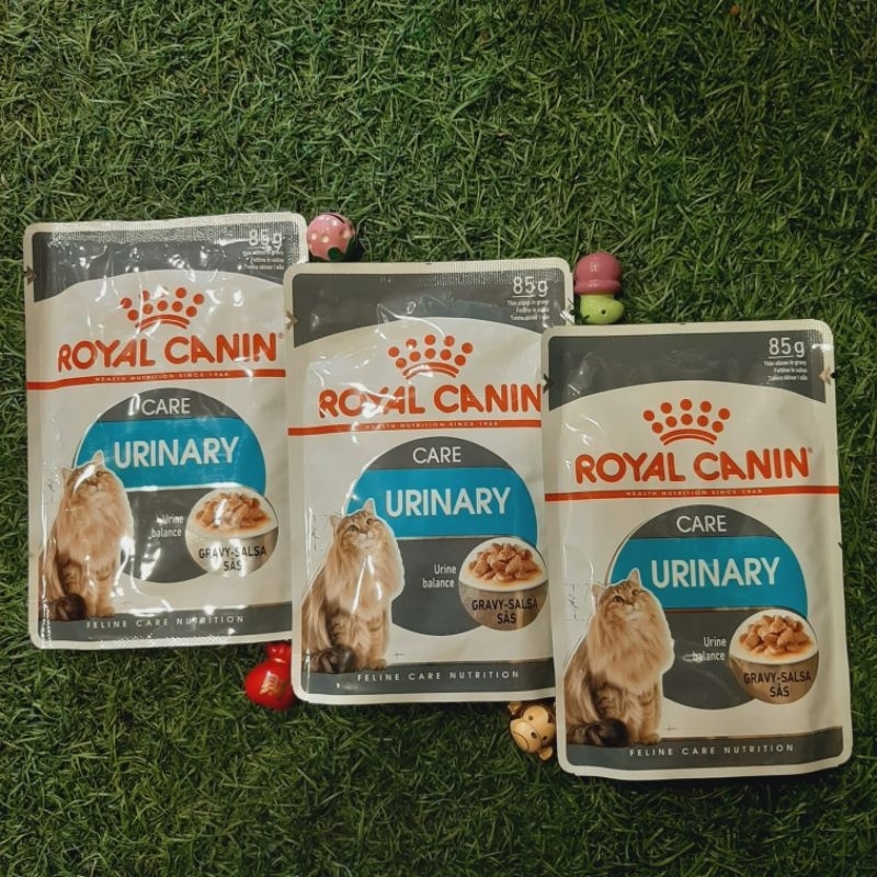 WET Food Royal Canin URINARY CARE 85gr