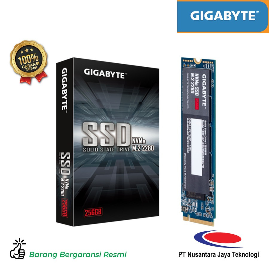 Gigabyte SSD NVMe 256GB M.2 2280 PCI-Express 3.0 x4 PC Laptop Notebook