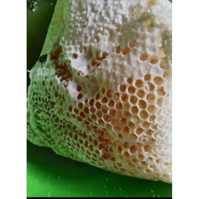 

Madu Asli Lubuklinggau