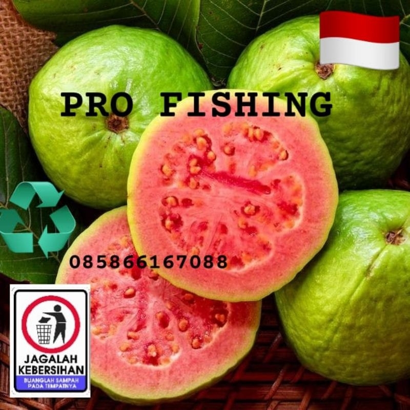ESSEN JAMBU BIANG