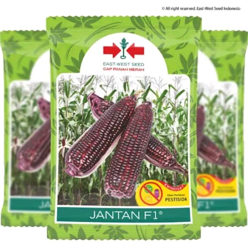 Benih Jagung JANTAN F1 250 Gram - Bibit Jagung Ketan Original Cap Panah Merah