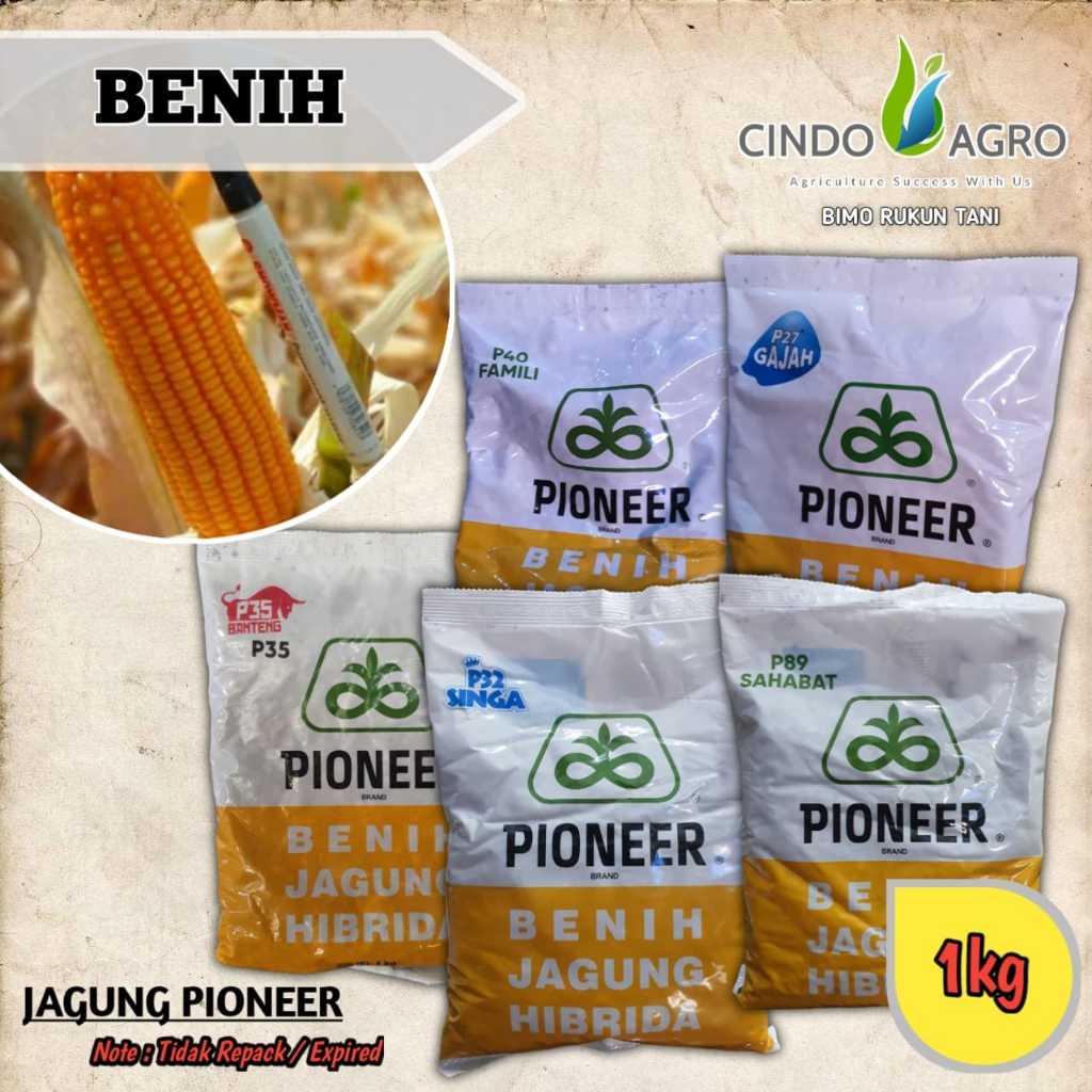 JAGUNG PIONER P27/P32//P27 LUMIGEN- 1kg
