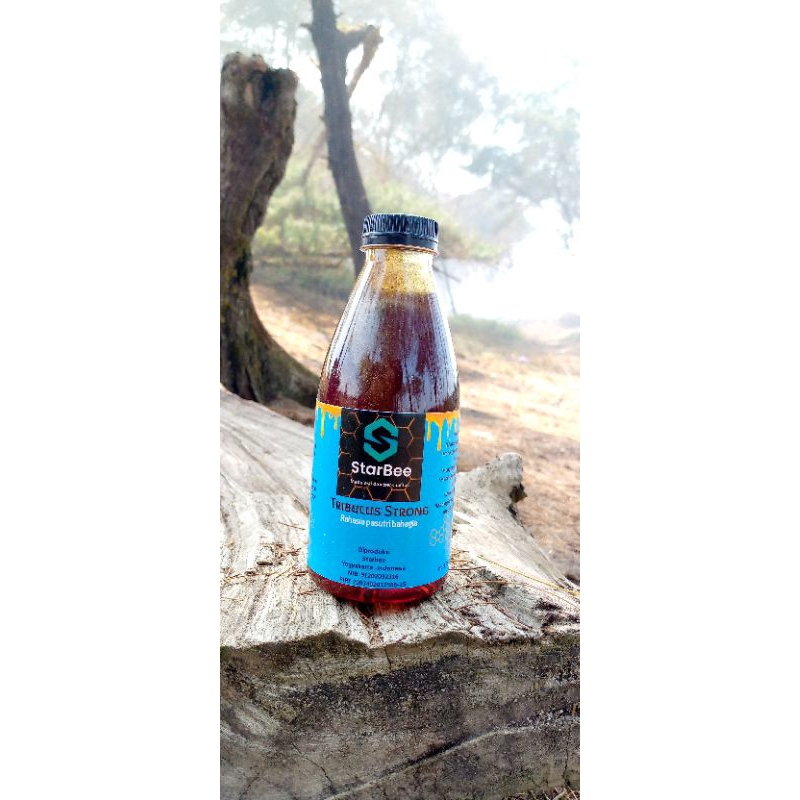 Madu StarBee Tribulus Strong