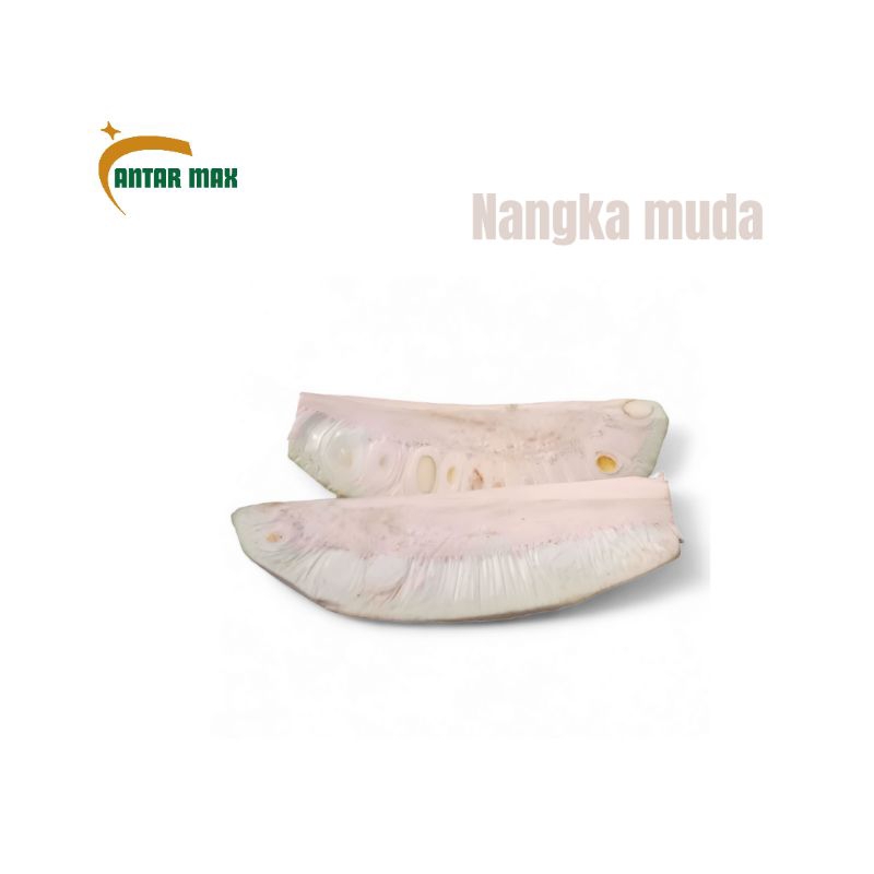 

Nangka muda