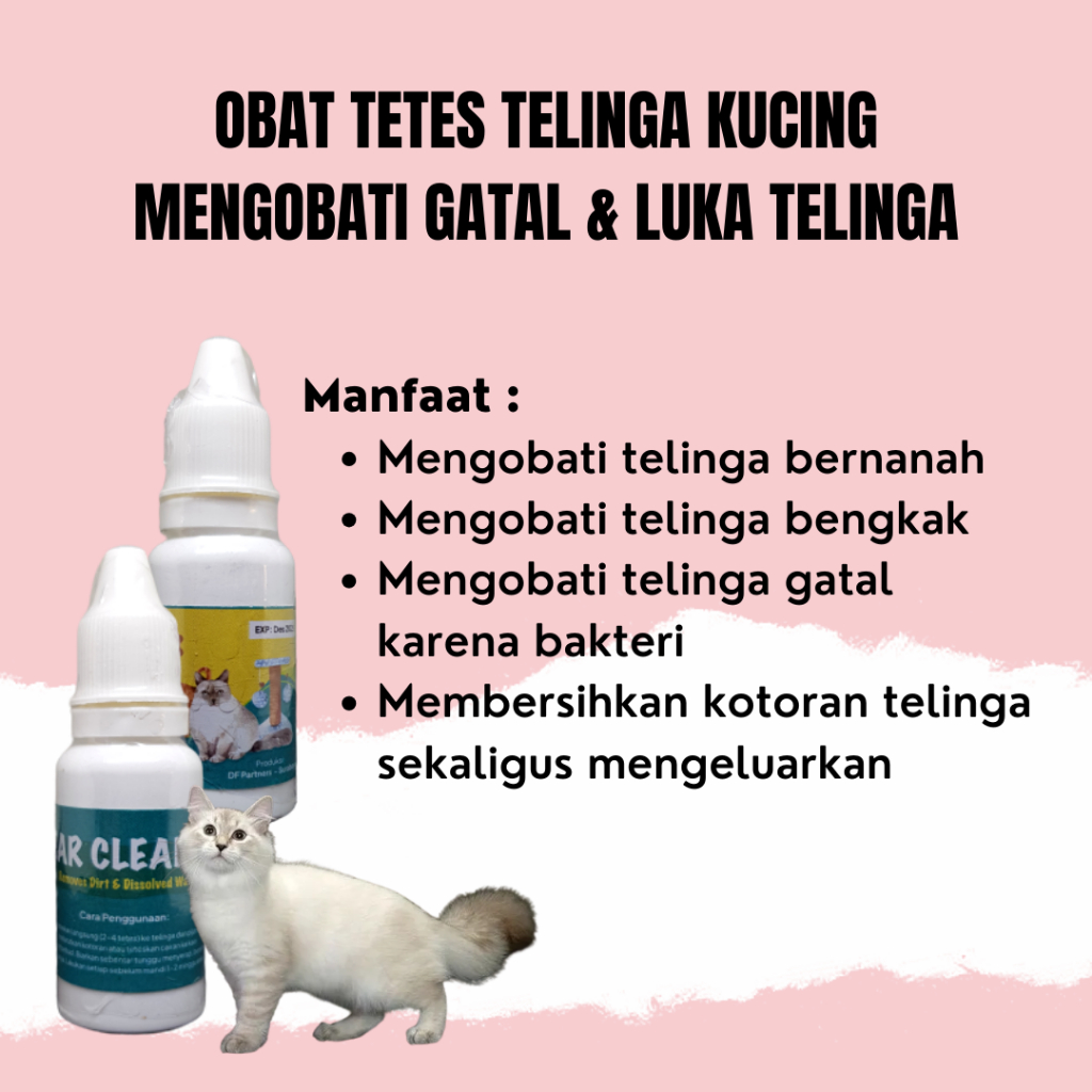 OBAT TETES TELINGA MENGOBATI SAKIT TELINGA TELINGA BERNANAH GATAL PADA KUCING HELLO