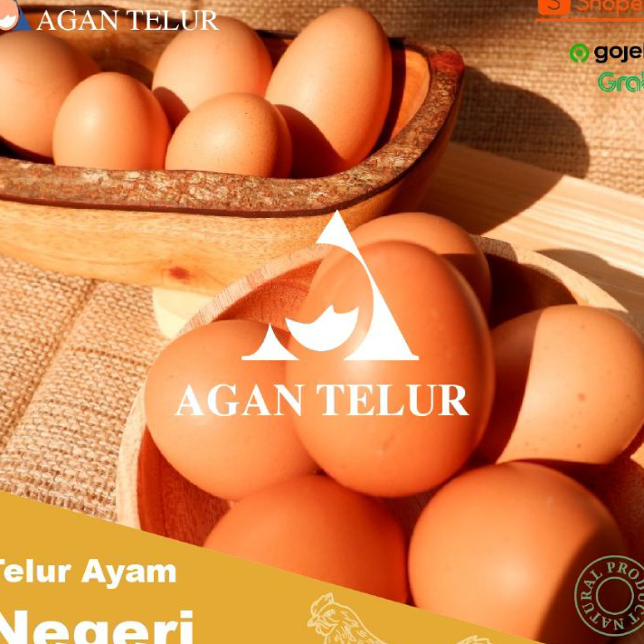 

RDBZ8646 [PROMO SALE!!!] TELUR AYAM NEGERI FRESH DAN TERMURAH PER KG (15-16 btr)