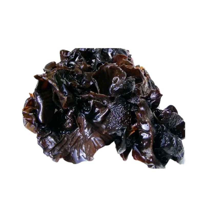 

jamur kuping hitam 250 gr