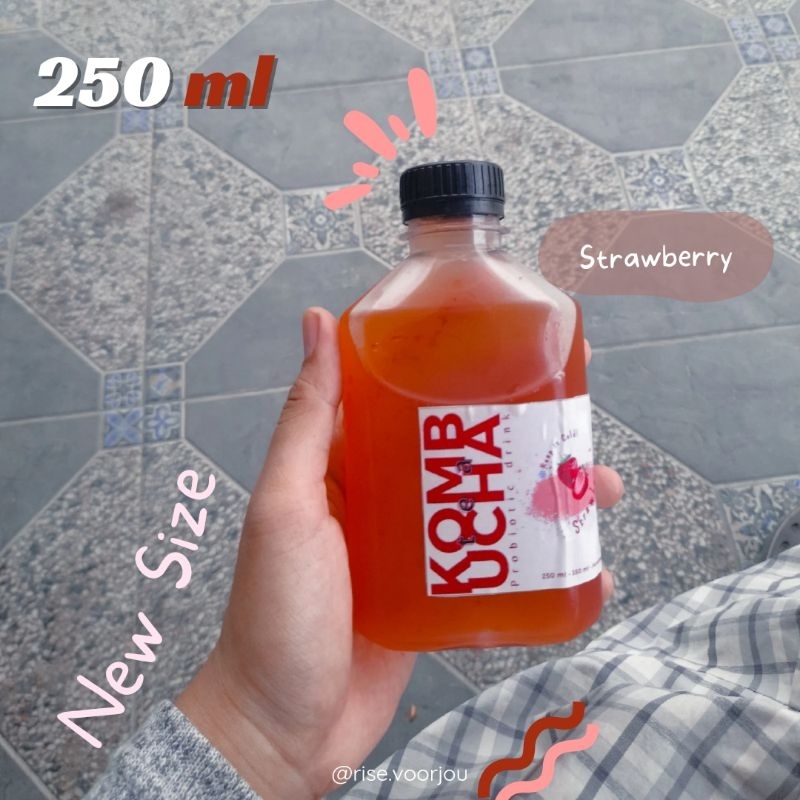 

Probiotic Kombucha Tea 250 ml | [ STRAWBERRY ] Stroberi | Detox | Teh Kombucha | by rise.voorjou | Minuman Probiotik