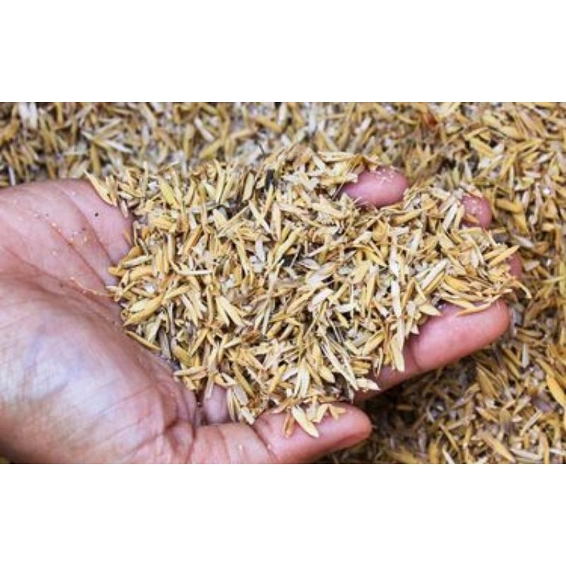 MERANG PADI BUAT PUPUK 1kg