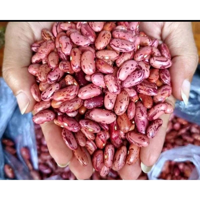

kacang merah 500g kering berkualitas/kacang JOGO