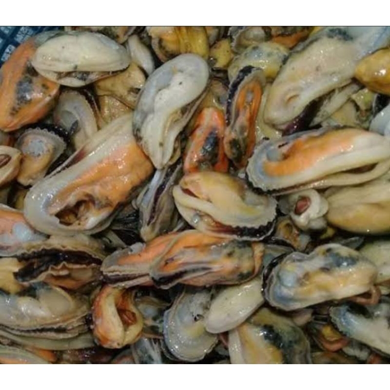 

kerang ijo kupas 500 gr