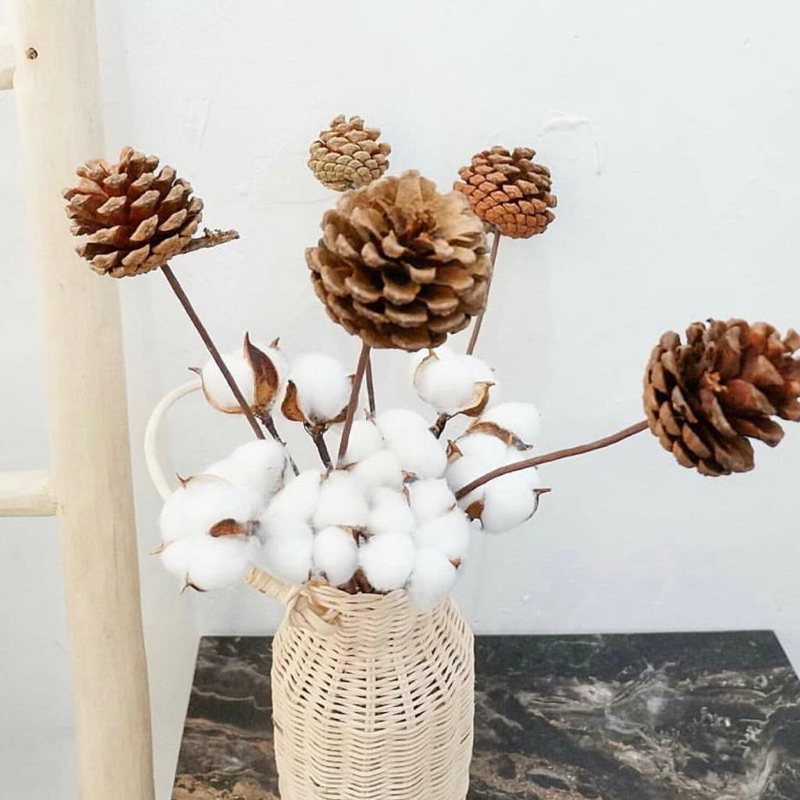 TERMURAH Bunga BIJI Pinus KERING RUSTIC Ukuran Kecil dan Sedang BAHAN BUKET MAHAR DEKORASI DRIED FLO