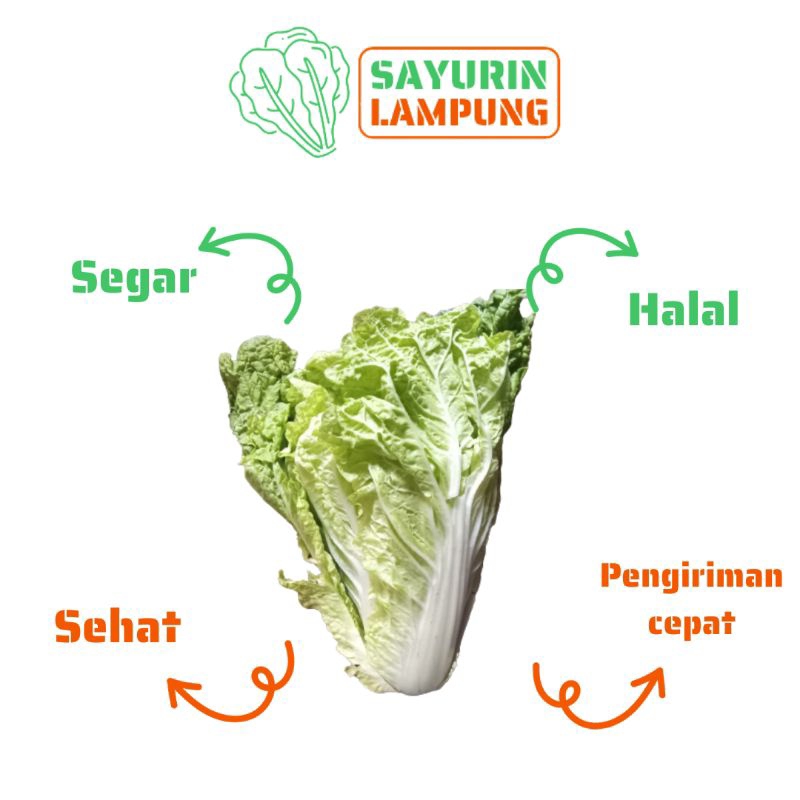 

sawi putih sawi segar sayur sawi 500gr - SAYURin LAMPUNG