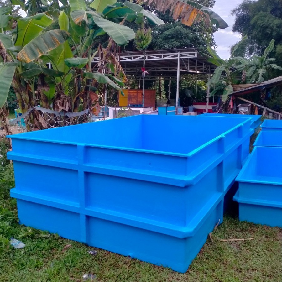 KOLAM IKAN FIBERGLASS UK 300x200x100 CM || AQUARIUM IKAN FIBERGLASS