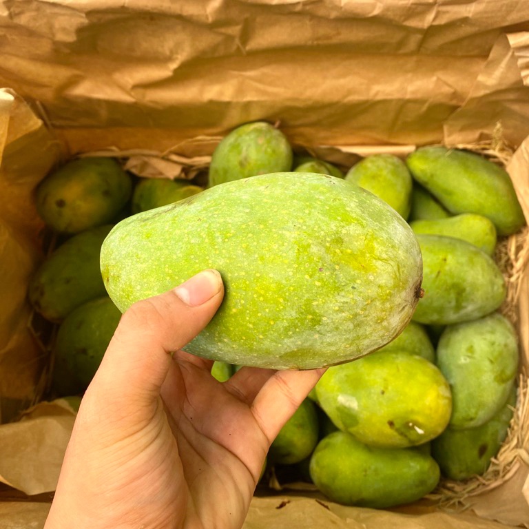 

❄️ READY STOK ❄️ BUAH MANGGA HARUM MANIS SUPER 1 KG (KHUSUS SAMEDAY DAN INSTAN)