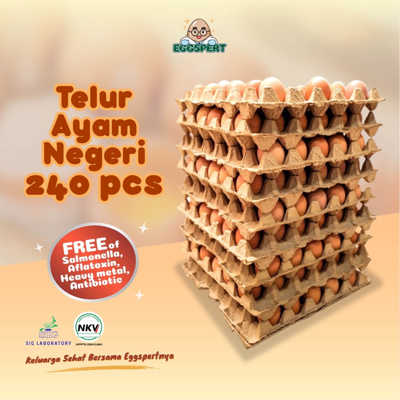 

Eggspert Telur Ayam Negeri Kemasan Isi 240pcs