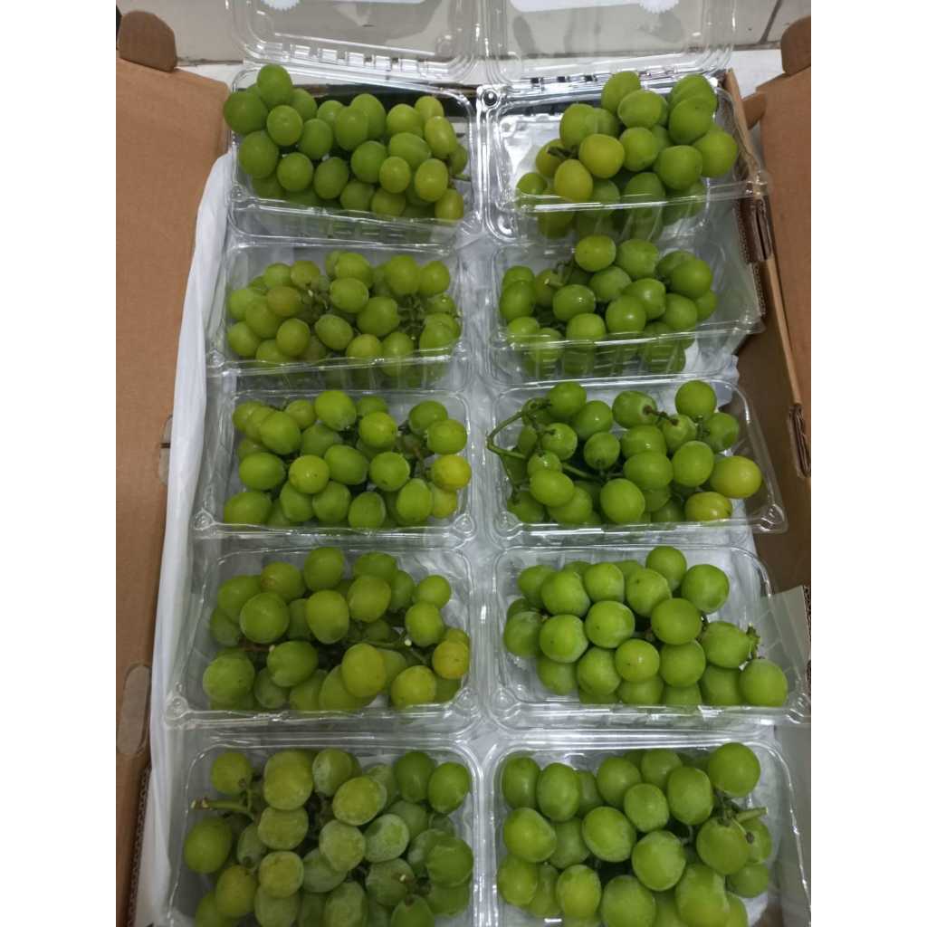 

shine muscat 1 pck