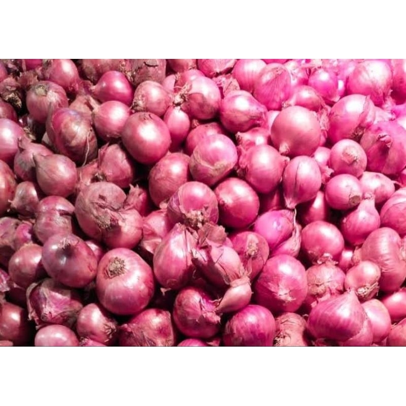 

bawang merah 500 gr