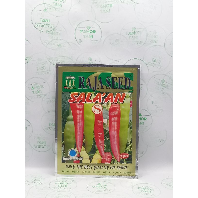 Benih Cabai Rawit Putih SALA'AN 10 g
