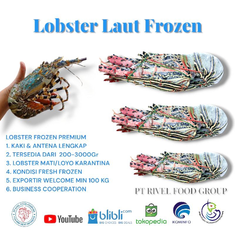 Lobster Laut Fresh Frozen Size 500Up 1kg isi 2 Ekor