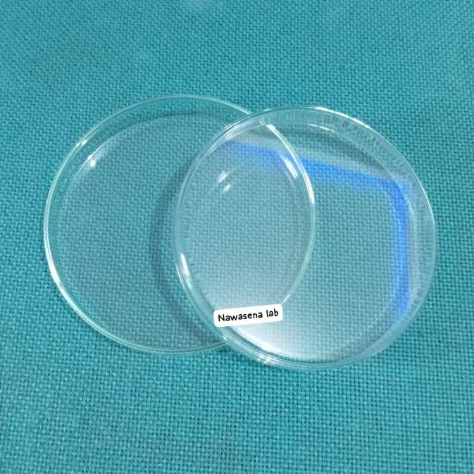 Petridish Cawan Petri 100 x 15 mm ANUMBRA