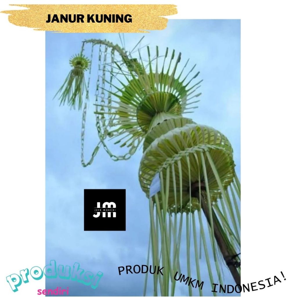 janur kuning pernikahan /janur kuning asli /layur