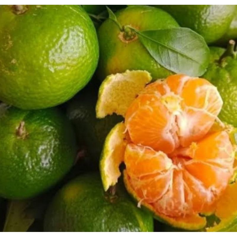 

Jeruk Satang Hijau 500 gr Sayur Segar Palembang