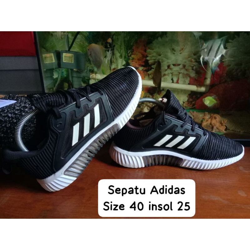 sepatu Adidas new