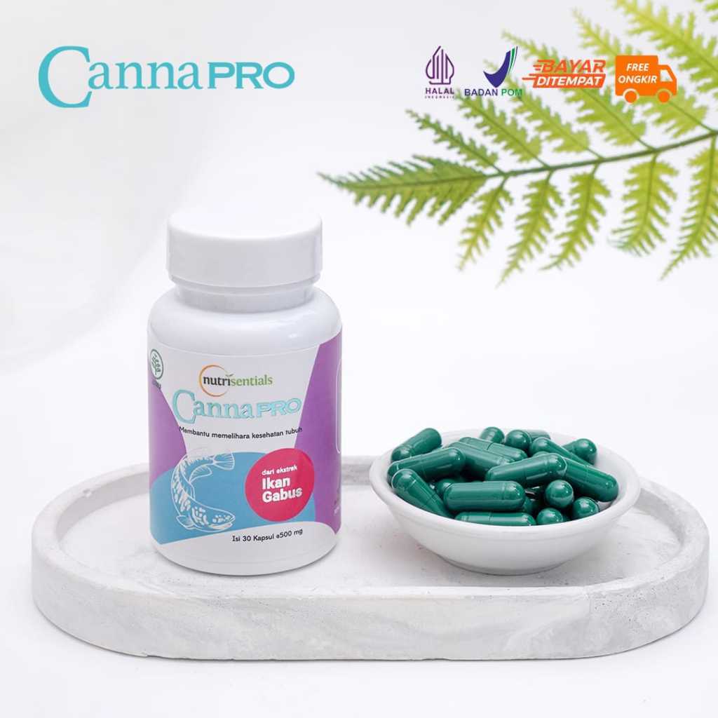 CannaPro Ekstrak Ikan Gabus Original Obat Pasca Operasi 10 X Lebih Cepat Proses Penyembuhan BPOM