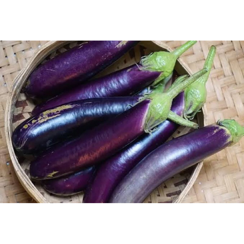 

SIMPLE SAYUR SEGAR TERONG UNGU500G