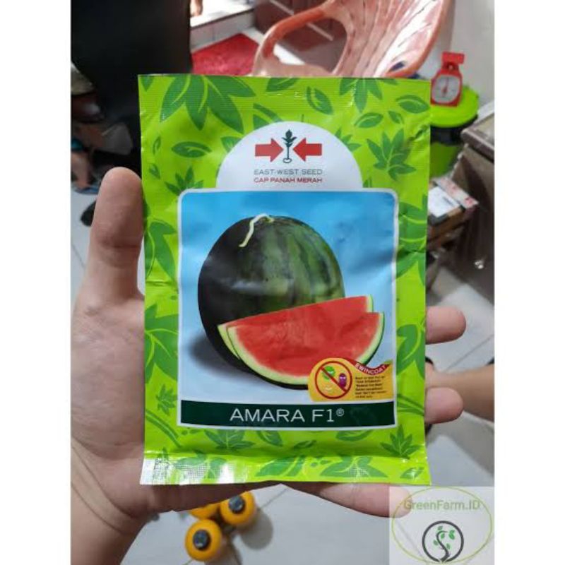 Bibit Semangka Merk AMARA