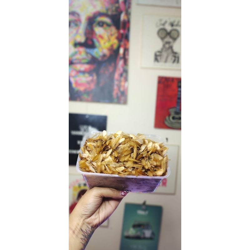 umpan pancing LARON SILARU umpan Galatama lele