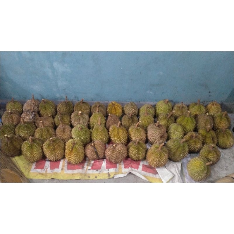 

durian asli Wonosobo memiliki rasa yang khas dan berbeda dengan durian dari daerah lain. Selain manis, rasa pahitnya lebih terasa yang membuat durian Wonosobo terasa khas dan lebih enak.