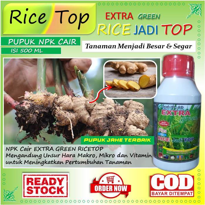 (Pupuk Organik) pupuk jahe organik - pupuk jahe cair - pupuk jahe subur (Rice Top) pupuk cair organi