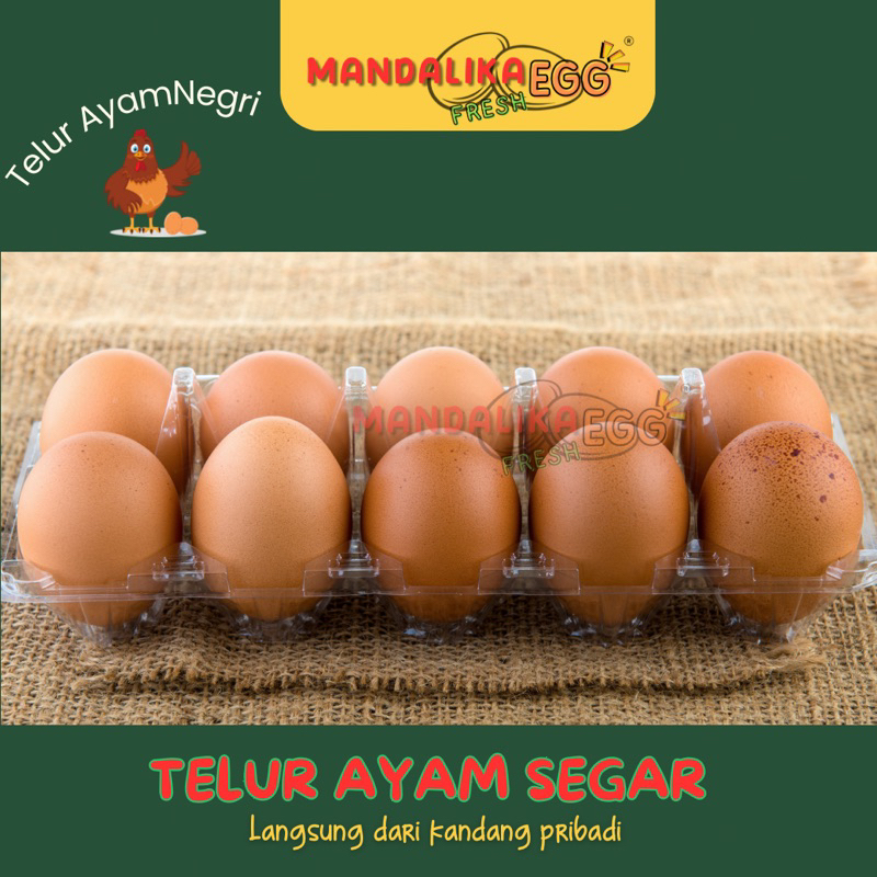 

Telur Ayam Negeri FRESH/ telor ayam negri per Mika telur ayam premium telor ayam premium telur segar telur ayam segar telur organik telur bebas bakteri telor ayam segar telor organik telor ayam segar telur omega telor omega