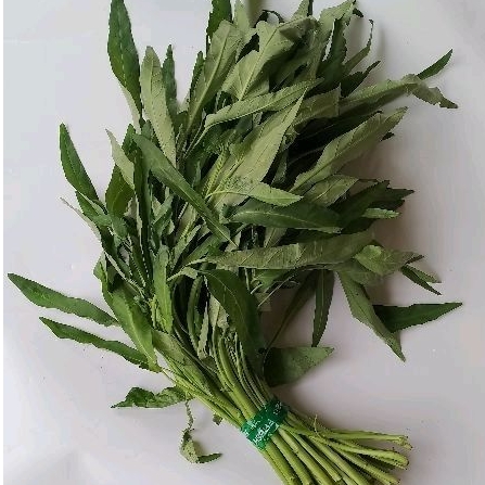 

sayur kangkung segar konven 1 ikat
