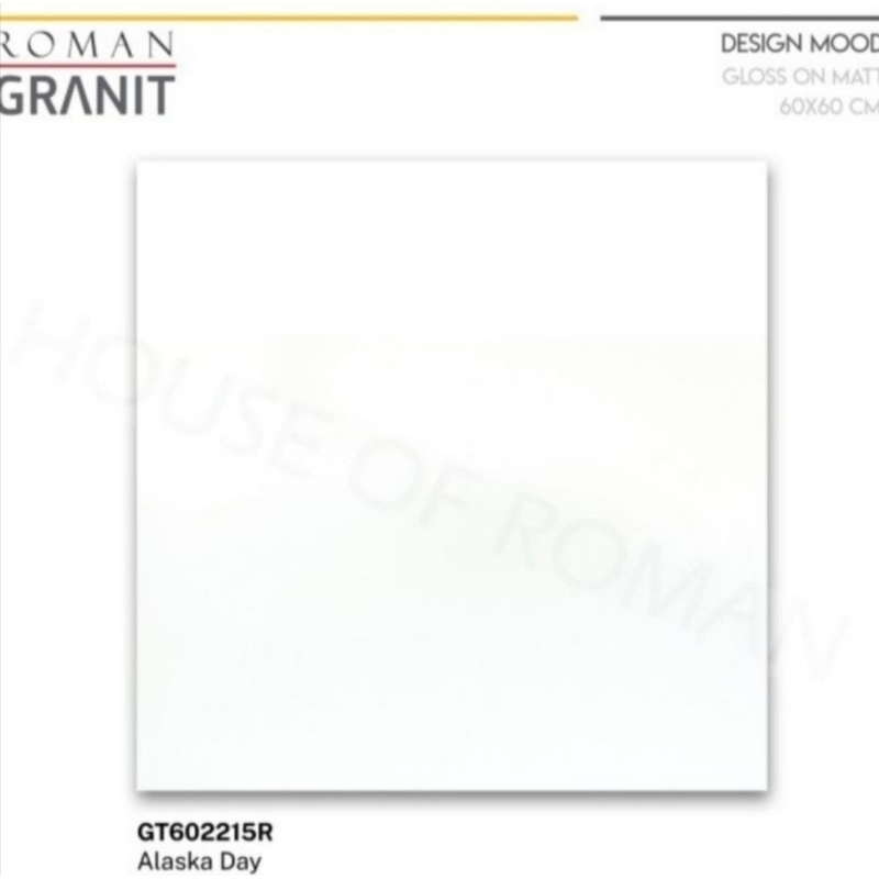 Roman Granit GT602215R Alaska Day 60x60 kw1